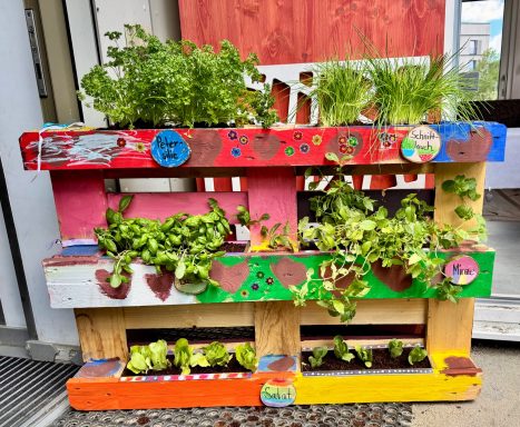 Kinder wachsen mit ihren Aufgaben – genau wie die Pflanzen, die sie gemeinsam gesetzt haben. Bunt gestaltete Pflanzenregale mit frischen Kräutern und Salat.