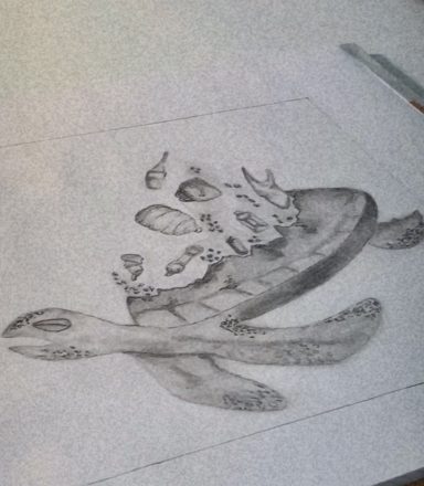 Eine Skizze einer Schildkröte mit verschiedenen Fischen und Wasserlebewesen.